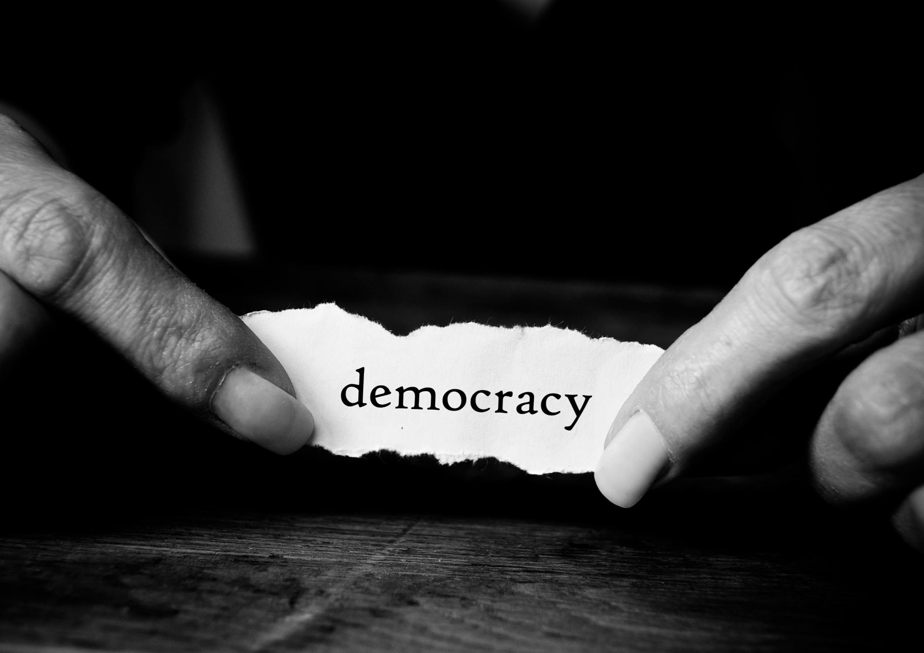 "RIP DEMOCRACY?": Η σύμβουλος έκδοσης του ELLE Φλώρα Τζημάκα γράφει για το αβέβαιο μέλλον της δημοκρατίας στη Δύση